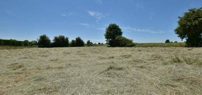 Terrain à Broglie en Eure (27) de 3000 m² à vendre au prix de 43900€ - 2