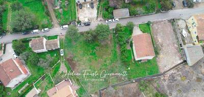 Terrain à Saint-Florent en Haute-Corse (2B) de 1180 m² à vendre au prix de 569000€ - 4