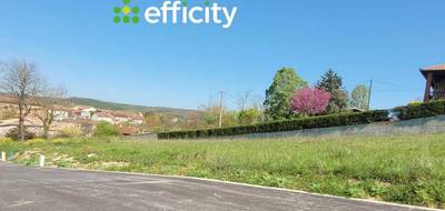 Terrain à Beaumont-sur-Lèze en Haute-Garonne (31) de 700 m² à vendre au prix de 116000€ - 1