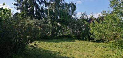 Terrain à Cuise-la-Motte en Oise (60) de 514 m² à vendre au prix de 35000€ - 2