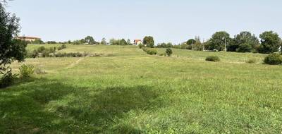 Terrain à Eoux en Haute-Garonne (31) de 7500 m² à vendre au prix de 49500€ - 1