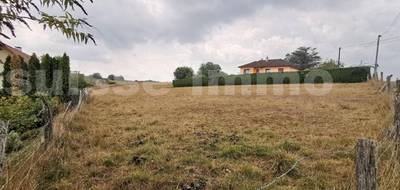 Terrain à L'Isle-sur-le-Doubs en Doubs (25) de 4220 m² à vendre au prix de 98000€ - 1