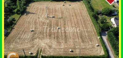 Terrain à Torteron en Cher (18) de 3648 m² à vendre au prix de 44000€ - 1