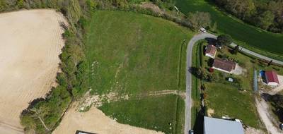 Terrain à L'Isle-en-Dodon en Haute-Garonne (31) de 8500 m² à vendre au prix de 55000€ - 4