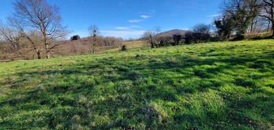 Terrain à Alzen en Ariège (09) de 1030 m² à vendre au prix de 40000€ - 1
