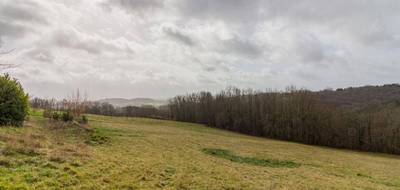 Terrain à Peyzac-le-Moustier en Dordogne (24) de 3000 m² à vendre au prix de 63000€ - 3