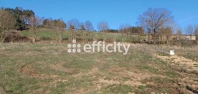 Terrain à Clavières en Cantal (15) de 1366 m² à vendre au prix de 27320€ - 3