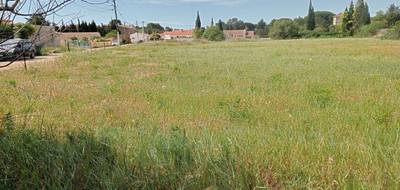 Terrain à Paraza en Aude (11) de 630 m² à vendre au prix de 87000€ - 4