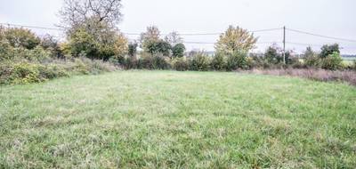 Terrain à Montigny-aux-Amognes en Nièvre (58) de 2154 m² à vendre au prix de 40620€ - 3