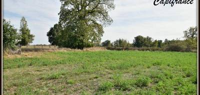 Terrain à Dornes en Nièvre (58) de 4368 m² à vendre au prix de 86000€ - 3