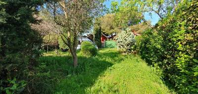 Terrain à Balaruc-les-Bains en Hérault (34) de 800 m² à vendre au prix de 390000€ - 1