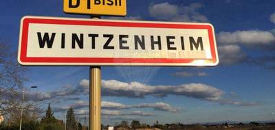 Terrain à Wintzenheim en Haut-Rhin (68) de 2500 m² à vendre au prix de 385000€ - 2