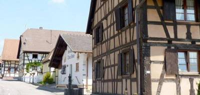 Terrain à Steinsoultz en Haut-Rhin (68) de 640 m² à vendre au prix de 121600€ - 3