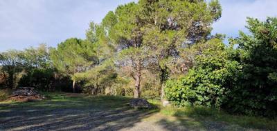 Terrain à Fontès en Hérault (34) de 4250 m² à vendre au prix de 231000€ - 3