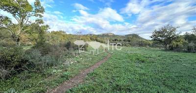 Terrain à Fons-sur-Lussan en Gard (30) de 8617 m² à vendre au prix de 197000€ - 2