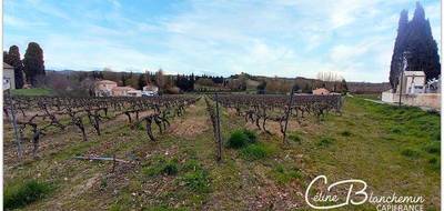 Terrain à Brugairolles en Aude (11) de 15635 m² à vendre au prix de 160280€ - 4
