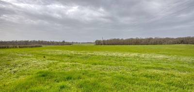Terrain à Velles en Indre (36) de 650000 m² à vendre au prix de 633000€ - 4