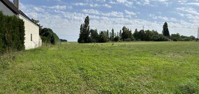 Terrain à Vallery en Yonne (89) de 1000 m² à vendre au prix de 36000€ - 3