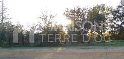 Terrain à Puygouzon en Tarn (81) de 550 m² à vendre au prix de 56000€ - 1