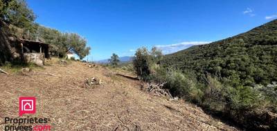 Terrain à Caixas en Pyrénées-Orientales (66) de 6800 m² à vendre au prix de 110000€ - 2