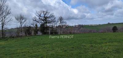 Terrain à Paulinet en Tarn (81) de 1134 m² à vendre au prix de 37000€ - 3