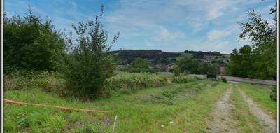 Terrain à Olizy-Primat en Ardennes (08) de 4770 m² à vendre au prix de 86000€ - 4