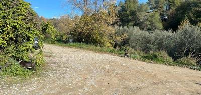 Terrain à La Gaude en Alpes-Maritimes (06) de 2079 m² à vendre au prix de 519000€ - 4