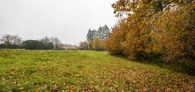 Terrain à Mazeyrolles en Dordogne (24) de 4500 m² à vendre au prix de 39000€ - 3