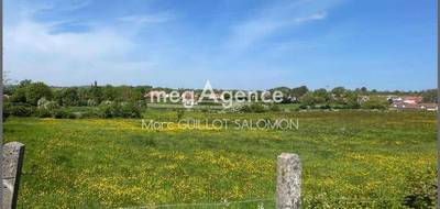 Terrain à Rety en Pas-de-Calais (62) de 600 m² à vendre au prix de 55000€ - 1
