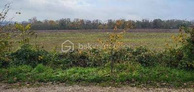 Terrain à Draveil en Essonne (91) de 380 m² à vendre au prix de 155000€ - 3