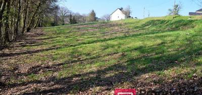 Terrain à Treignac en Corrèze (19) de 3657 m² à vendre au prix de 19000€ - 3