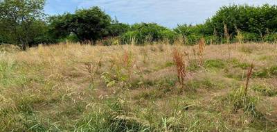 Terrain et maison à Bavilliers en Territoire de Belfort (90) de 720 m² à vendre au prix de 300968€ - 3