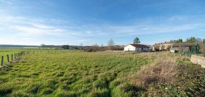 Terrain à Rambervillers en Vosges (88) de 2000 m² à vendre au prix de 57000€ - 4