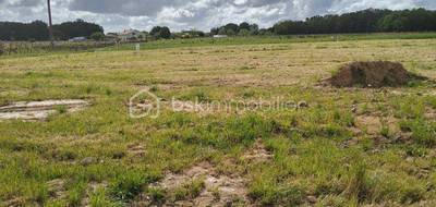 Terrain à Mérignac en Charente-Maritime (17) de 6060 m² à vendre au prix de 129000€ - 1