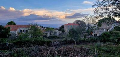 Terrain à Sari-Solenzara en Corse-du-Sud (2A) de 939 m² à vendre au prix de 220000€ - 1