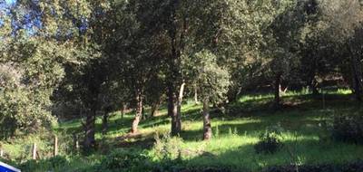 Terrain à Bilia en Corse-du-Sud (2A) de 2000 m² à vendre au prix de 60000€ - 1