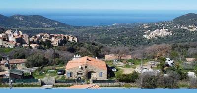 Terrain à Cateri en Haute-Corse (2B) de 1900 m² à vendre au prix de 480000€ - 2