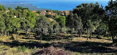 Terrain à Sari-Solenzara en Corse-du-Sud (2A) de 1100 m² à vendre au prix de 153300€ - 2