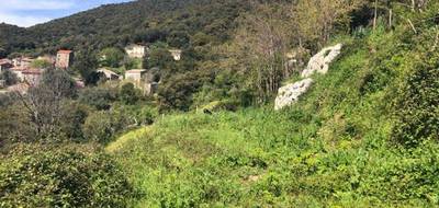 Terrain à Albitreccia en Corse-du-Sud (2A) de 1066 m² à vendre au prix de 75000€ - 4