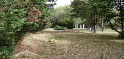 Terrain à Montgeard en Haute-Garonne (31) de 1300 m² à vendre au prix de 105000€ - 3