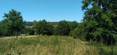 Terrain à Loubejac en Dordogne (24) de 8180 m² à vendre au prix de 39000€ - 1