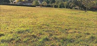 Terrain à Paussac-et-Saint-Vivien en Dordogne (24) de 5693 m² à vendre au prix de 42500€ - 4