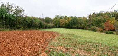 Terrain à Castres en Tarn (81) de 1346 m² à vendre au prix de 84000€ - 3