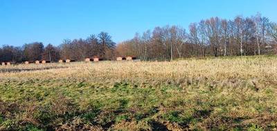 Terrain à Dannemarie en Haut-Rhin (68) de 450 m² à vendre au prix de 69000€ - 1