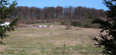 Terrain à Dampleux en Aisne (02) de 8000 m² à vendre au prix de 294000€ - 3