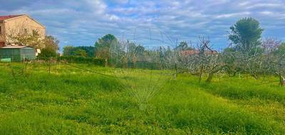 Terrain à Pietroso en Haute-Corse (2B) de 1100 m² à vendre au prix de 93200€ - 3
