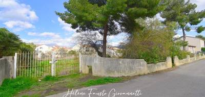 Terrain à Saint-Florent en Haute-Corse (2B) de 1180 m² à vendre au prix de 569000€ - 3