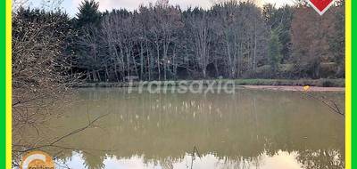 Terrain à Beaulieu-sur-Loire en Loiret (45) de 5580 m² à vendre au prix de 66000€ - 4