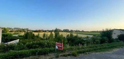 Terrain à Lamothe-Capdeville en Tarn-et-Garonne (82) de 1000 m² à vendre au prix de 55000€ - 1