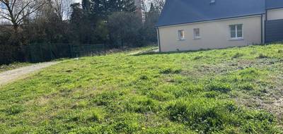 Terrain à Coulaines en Sarthe (72) de 293 m² à vendre au prix de 74900€ - 3